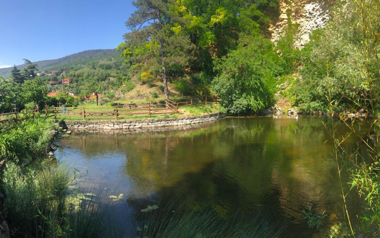 Esperia Casa Vacanza Trieste Dış mekan fotoğraf