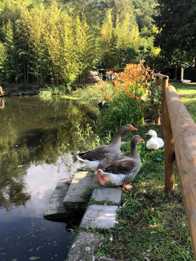 Esperia Casa Vacanza Trieste Dış mekan fotoğraf